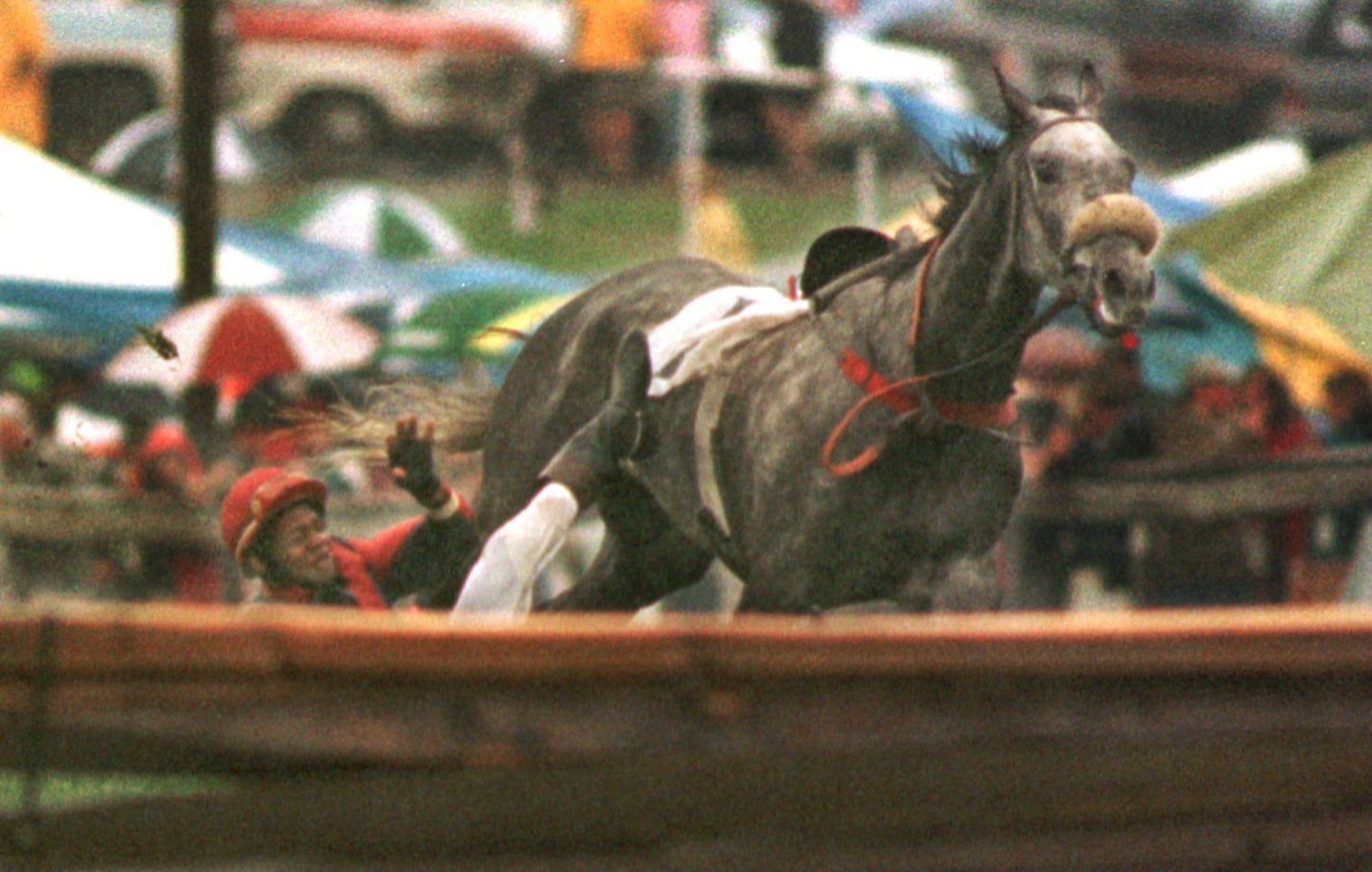 Strawberry Hill Races